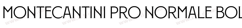 Montecantini Pro Normale Bold字体转换